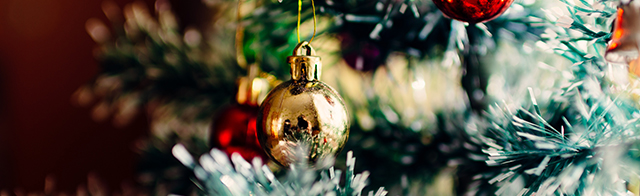 Denna bild har ett alt-attribut som är tomt. Dess filnamn är dec-2021.png